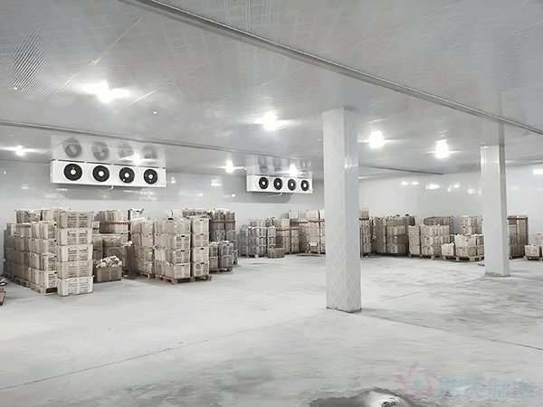 高标准冷库建设多少钱一平方？