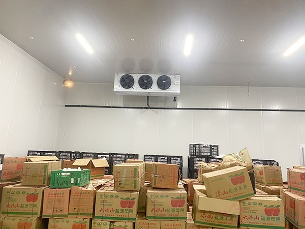 水果冷库存储温度,建造水果保鲜冷库造价