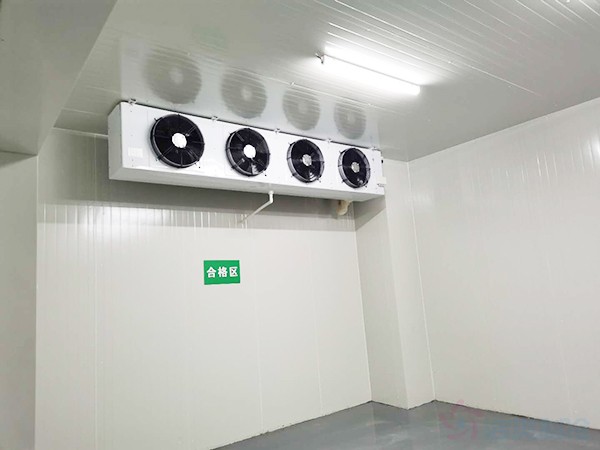 兽用生物制品冷库面积需要建多大？造价预算多少钱