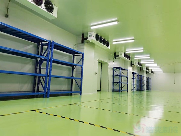 建造疫苗冷库造价成本多少钱一平米?