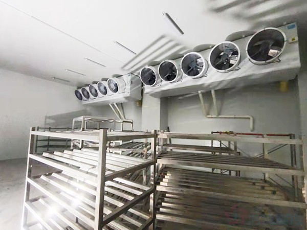 建造1000立方冷冻库配多大压缩机？造价预算多少钱？