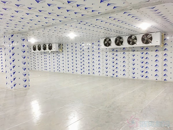 建一个冷冻库造价需要多少钱一平方？