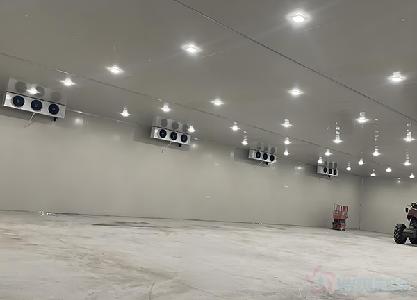 建造一个天然气制冷冷库造价成本大概多少钱