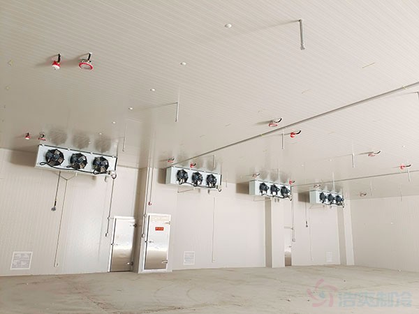 建造一个?；贩辣ǖ臀虏挚猓├淇庠旒鄱嗌偾? width=