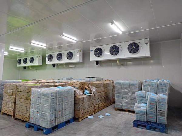 大型工业药品冷库建设安装价格大概多少钱？