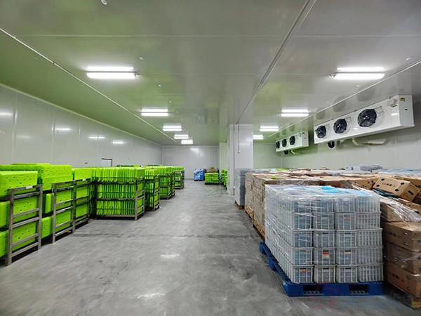 大型工业药品冷库建设安装价格大概多少钱？