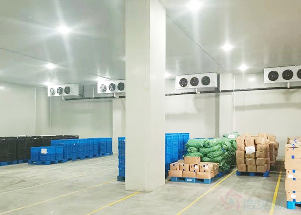 8000立方大型食品冷库造价