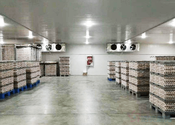 50平米冷冻库安装价格