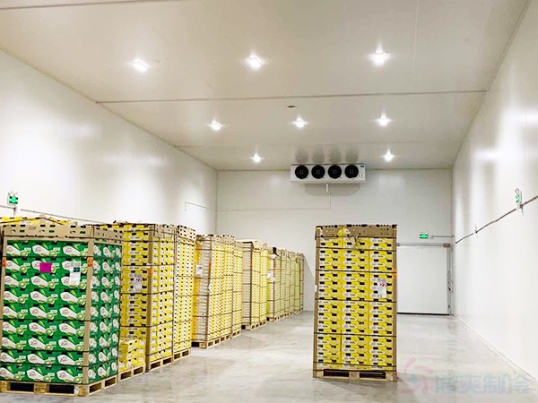 安装200平米的保鲜库造价