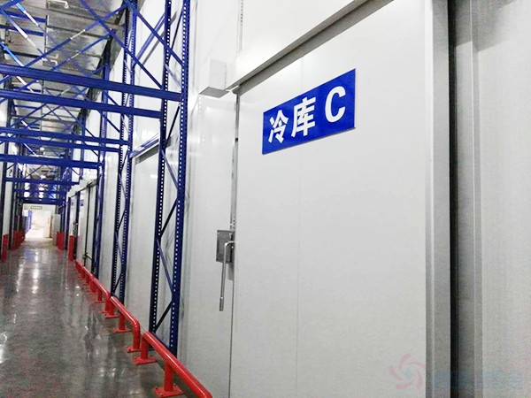 500平方冷库造价