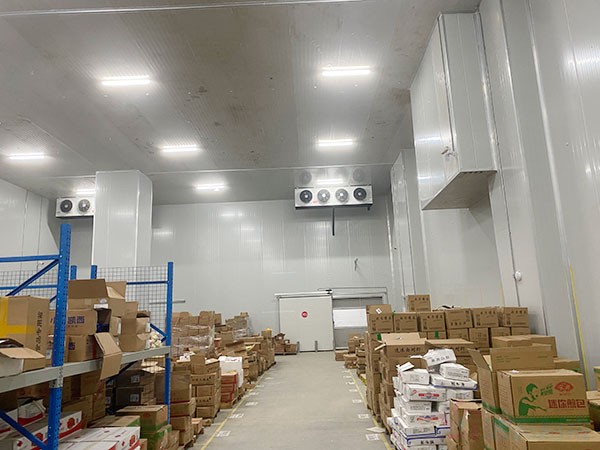 蘑菇种植园冷库建造面积及造价费用