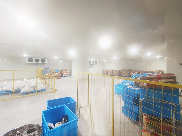 建造一个冷库要多少钱