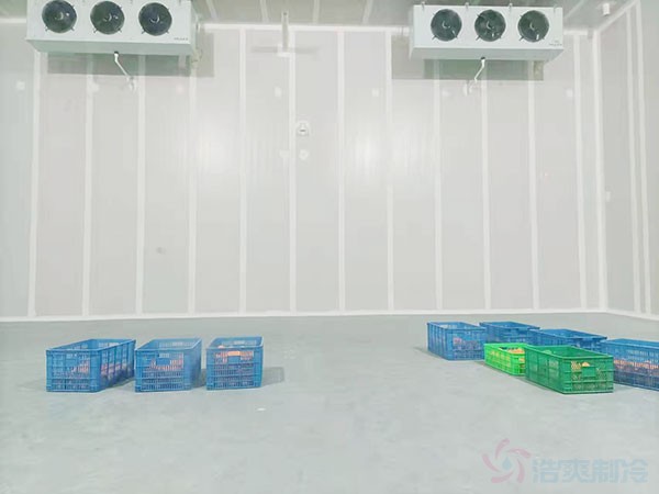 低温板栗冻库