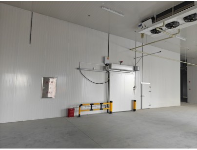 四川眉山35000立方米食品储藏加工配套冷链物流冷库建造工程