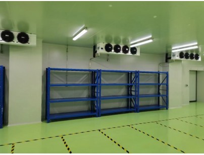 成都康诺亚一桥生物科技公司创新医药冷库建设工程案例