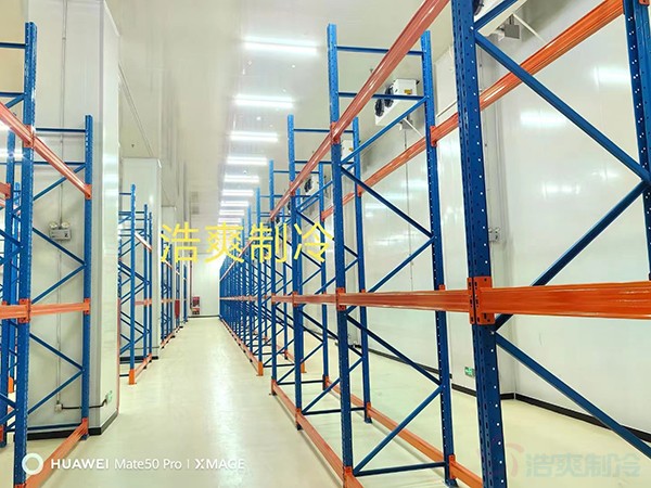 河北2-8℃医药标准冷库设计多少钱？