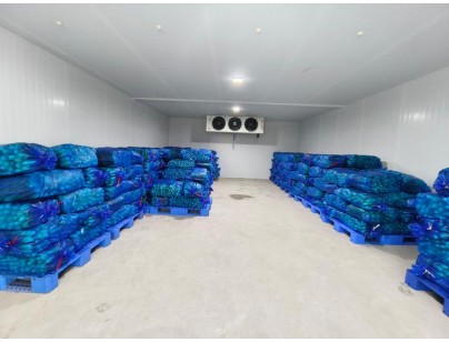 云南保山(食用菌）羊肚菌烘干房设计建造案例