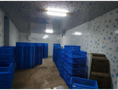 云南保山(食用菌）羊肚菌烘干房设计建造案例