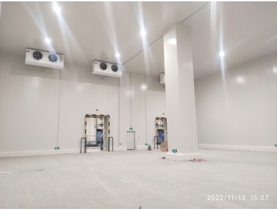 江苏太仓远洋物流二氧化碳复叠系统冷库建造工程案例