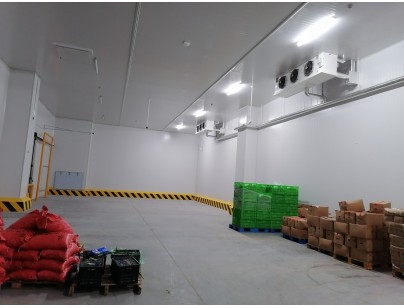 杭州盒马48000m3生鲜配送型冷链物流园冷库建造工程案例