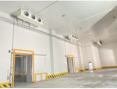 杭州盒马48000m3生鲜配送型冷链物流园冷库建造工程案例