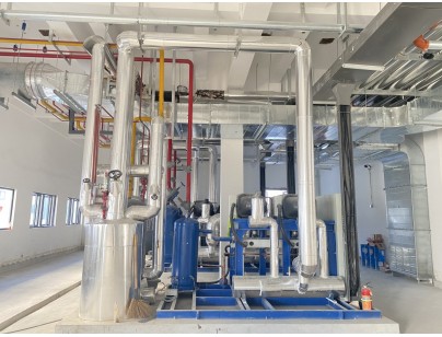 杭州盒马48000m3生鲜配送型冷链物流园冷库建造工程案例