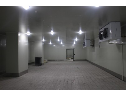 我厨（上海）生鲜果蔬净菜加工冷库工程建造案例