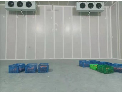 四川凉山·盐源县“三农”服务气调冷库建设项目