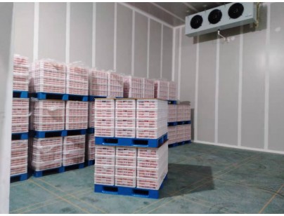 四川凉山·盐源县“三农”服务气调冷库建设项目