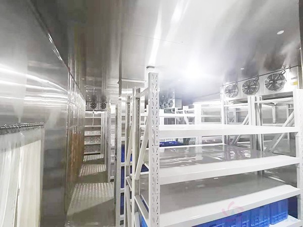 血液超低温冷库建设