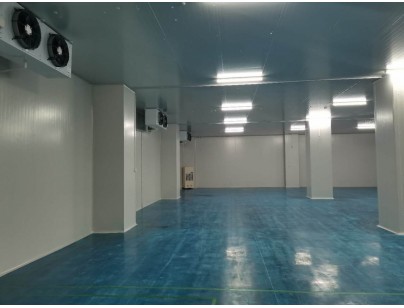 伊利乳业高标准乳制品加工冷链仓储冷库建造工程案例