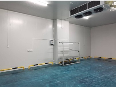 伊利乳业高标准乳制品加工冷链仓储冷库建造工程案例