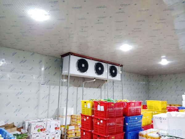 中低温冻库建造