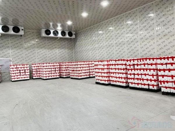 保鲜冷库建设