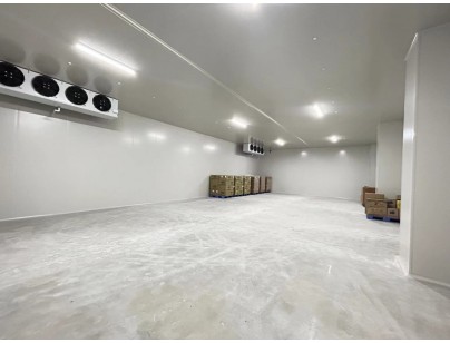 深圳望家欢农产品集团高标准生鲜物流配送冷库建造工程案例