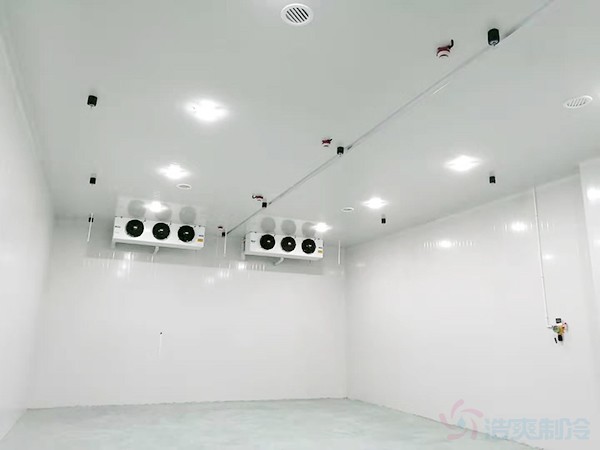 快速解冻库造价