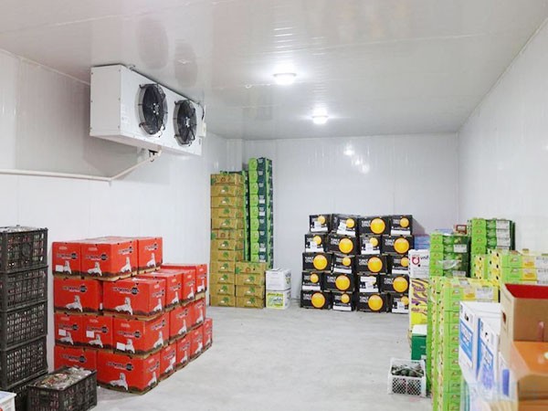 鲜花保鲜库建造