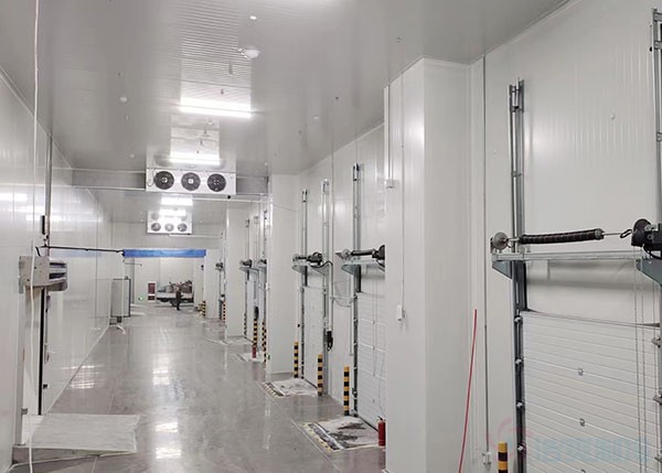 屠宰场猪肉冷库设计