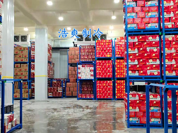 气调冷库建设
