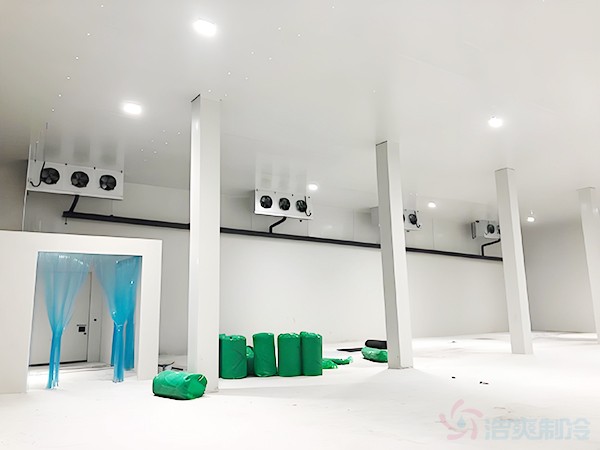 建冷库政策扶持